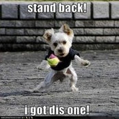 Sue Kellar's photo