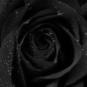Kathy Roberts's photo