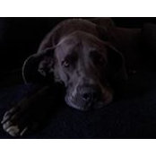 Catherine Timmis-Daugherty's photo