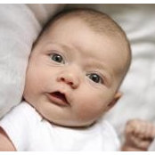 Audrey Breheney's photo