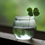 Lynne Marshall's photo