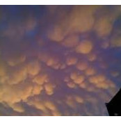 Foto von Sky Suen