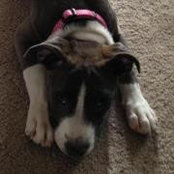 Stephanie Ochoa's photo