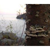 Foto von Anna Shindler