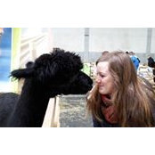 Julia Rckrt's photo