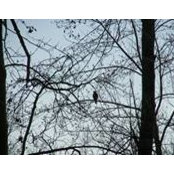 Jeff Slagle's photo