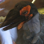 Foto de Maureen Angerman