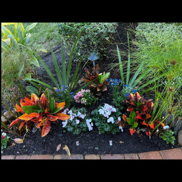 Therapeutic Landscaping