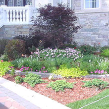 patio - yard - no way