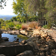 Water garden