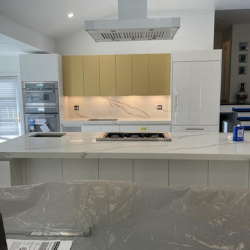 Contemporary High-End  kitchen in Long Island private residence..