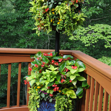 Baskets in Large Pots