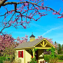 shed