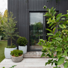 New Garden Ideas