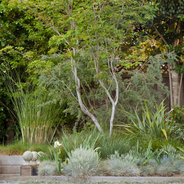 Georgetown Ave Garden by Growsgreen