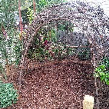 Butterfly Garden
