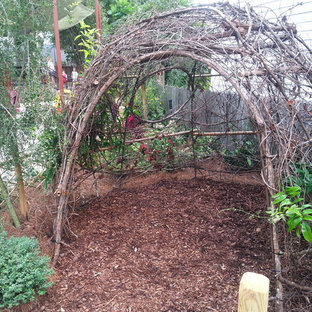 Butterfly Garden