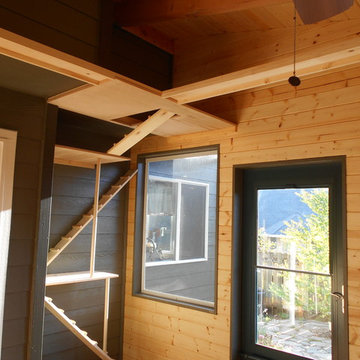 Catio