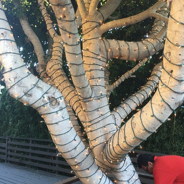 Tree Wrapping - Light Strings