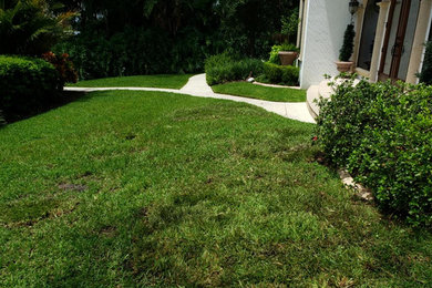 This is an example of a landscaping in Orlando.