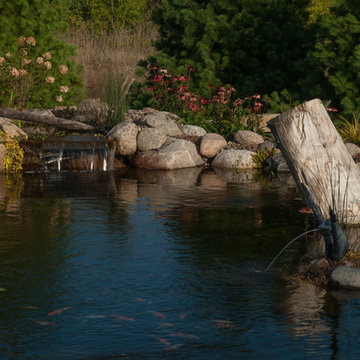 Back Yard Oasis