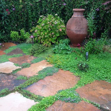 Zimbabwe Stone Sculpture Garden