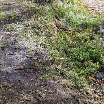 Rip Rap Seawall