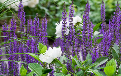 Garden Tour: Colorful, Serene Woodland Near Boston