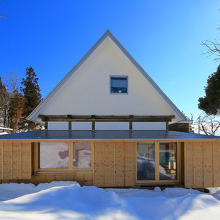 他の地域のアジアンスタイルのおしゃれな二階建ての家 (混合材サイディング、マルチカラーの外壁、切妻屋根、戸建、金属屋根) の写真