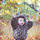 gee_cee1851150