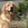 webuser_2424049