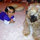 Jigar Patel