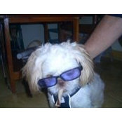 Jb Birrs foto