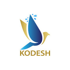 Kodesh Pro Wash