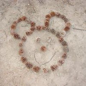 kim fields's photo