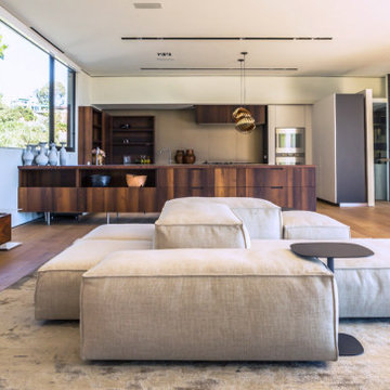 Hollywood Hills Modern