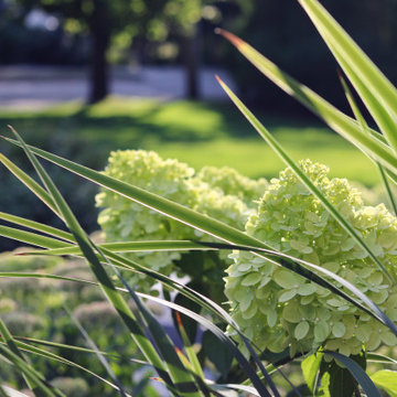 Feather & Blooms