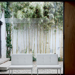 Kate Chair by Cattelan Italia - Living Room Chairs