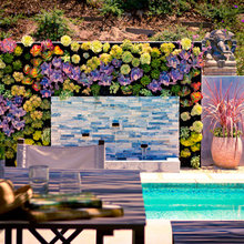 succulent vertical wall
