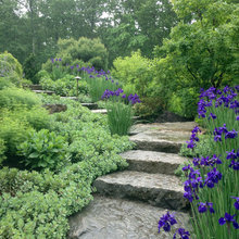 Patio Ideas