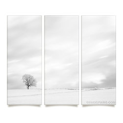 Tree Collection - Prints And Posters