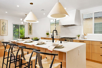 This is an example of a scandi kitchen in Los Angeles.