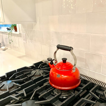 Evergreen Classic Kitchen and Bathroom Reno