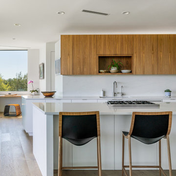 Palma Sola Modern