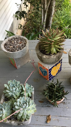 large clay planter pots TERRACOTTA LION PLANTERS EXTRA LARGE main image 0