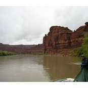 Jack Brown's photo