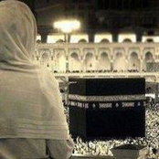 Dina Sharayhee's photo