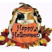 Robin Roberts's photo