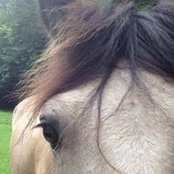 Amanda Welch's photo