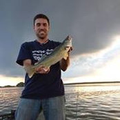 Nic Edlund's photo